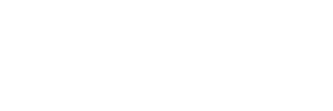Logo White